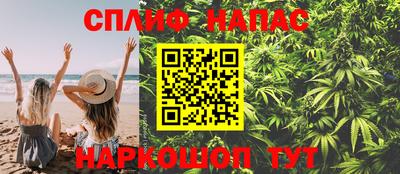 МДПВ Ливны